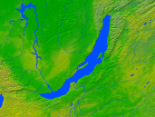 Lake Baikal Vegetation 1200x900